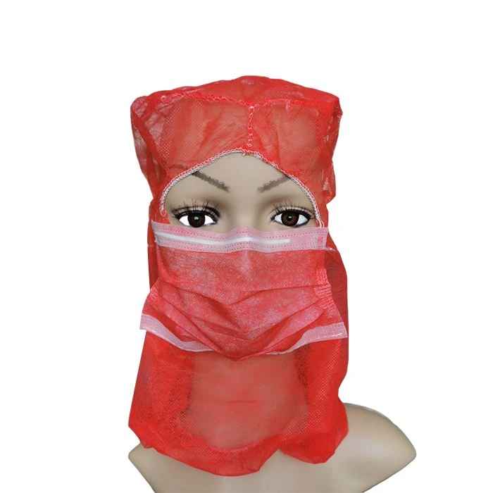Full Face Mask